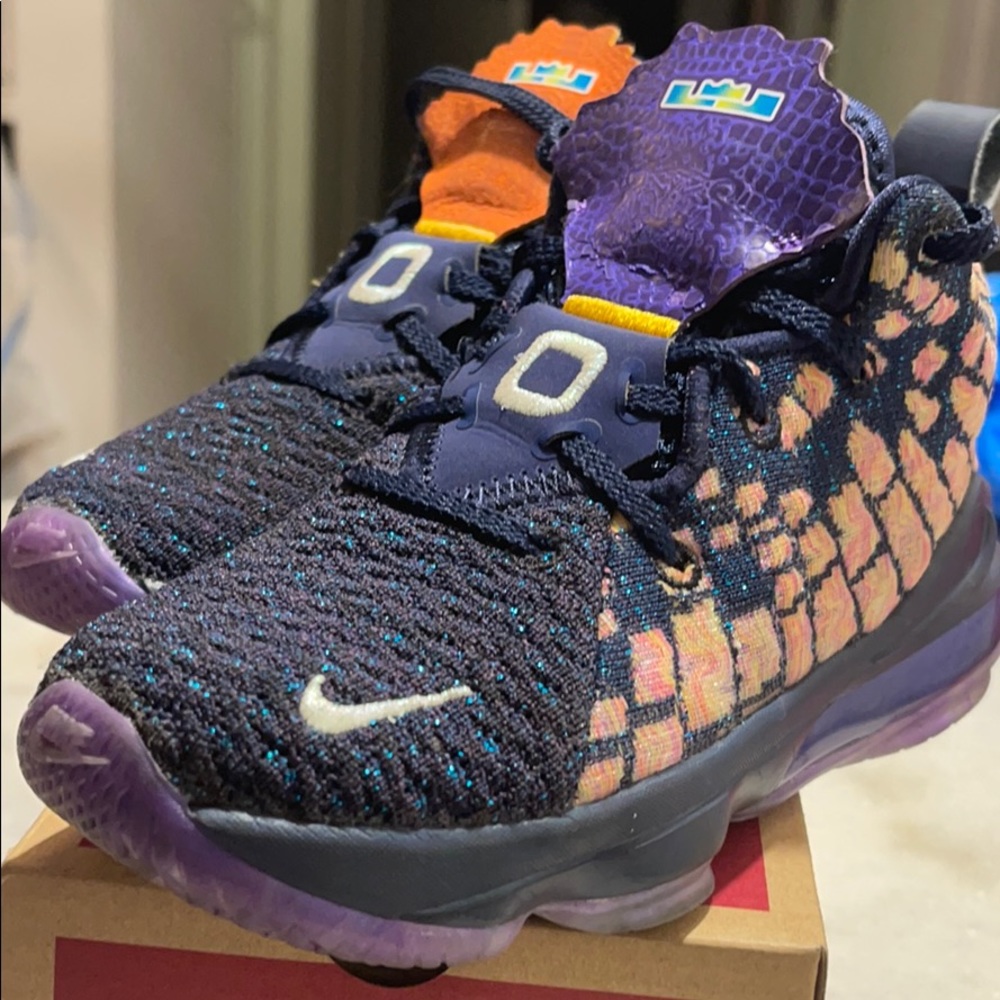 Nike Lebron 17 Monstars (no box)